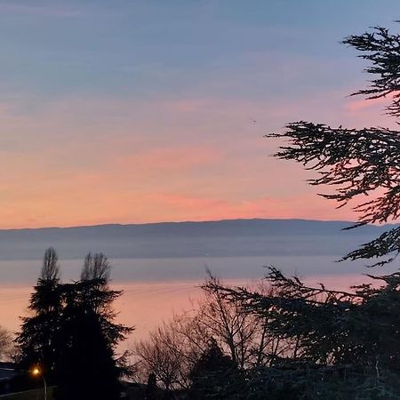 Le Mirabeau Vue Lac エヴィアン・レ・バン エクステリア 写真
