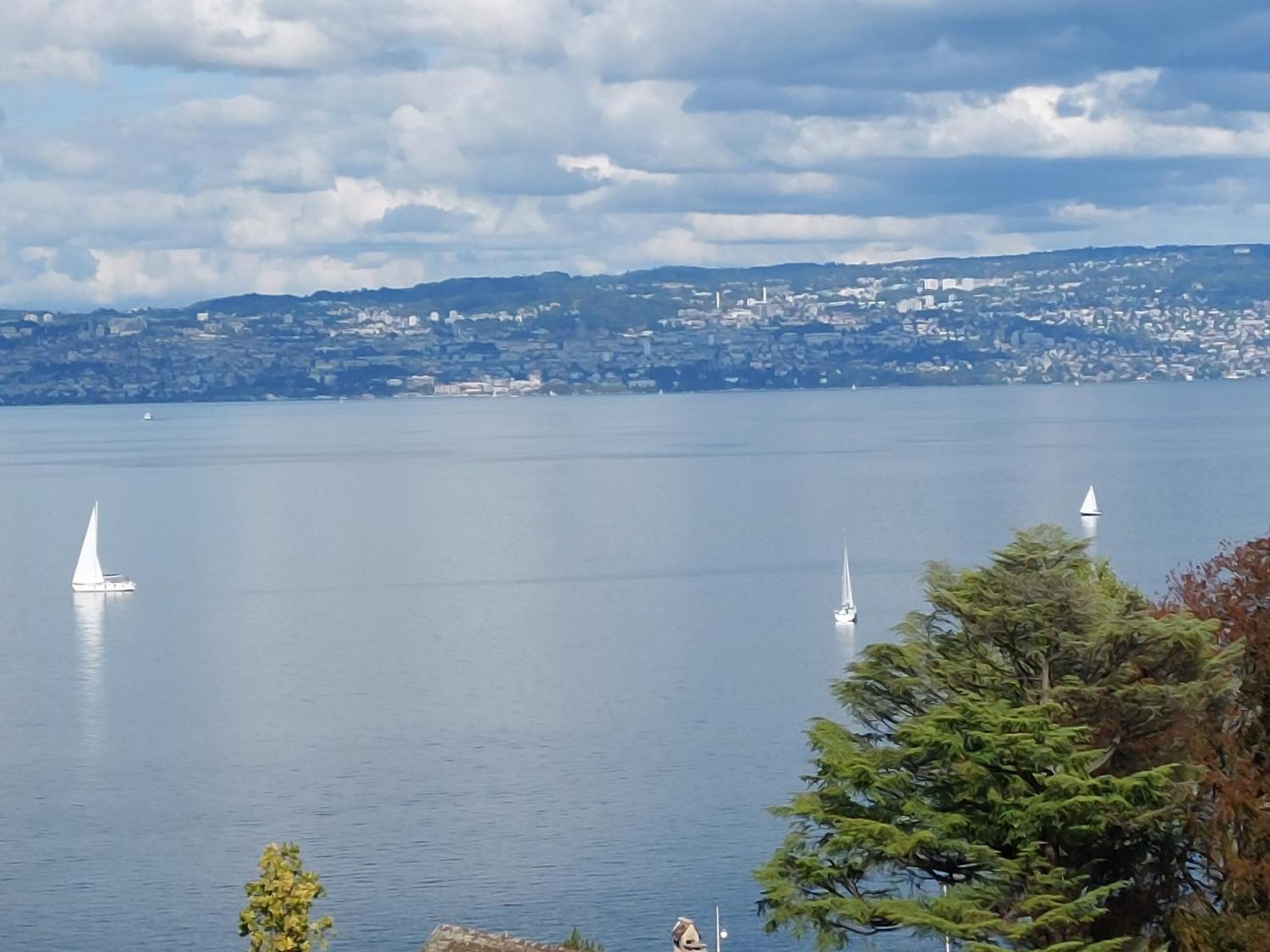 Le Mirabeau Vue Lac エヴィアン・レ・バン エクステリア 写真