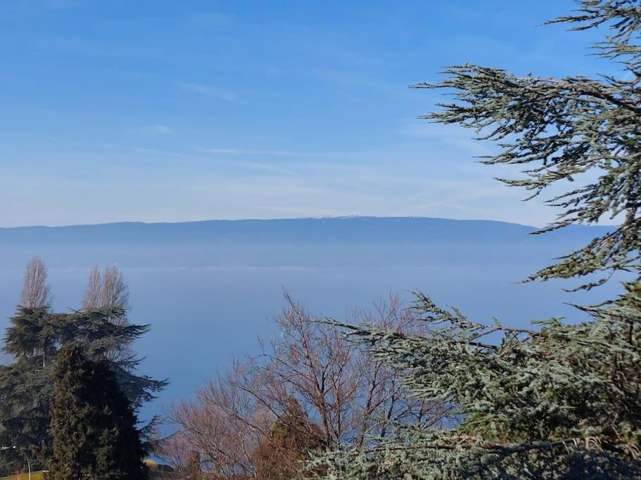 Le Mirabeau Vue Lac エヴィアン・レ・バン エクステリア 写真