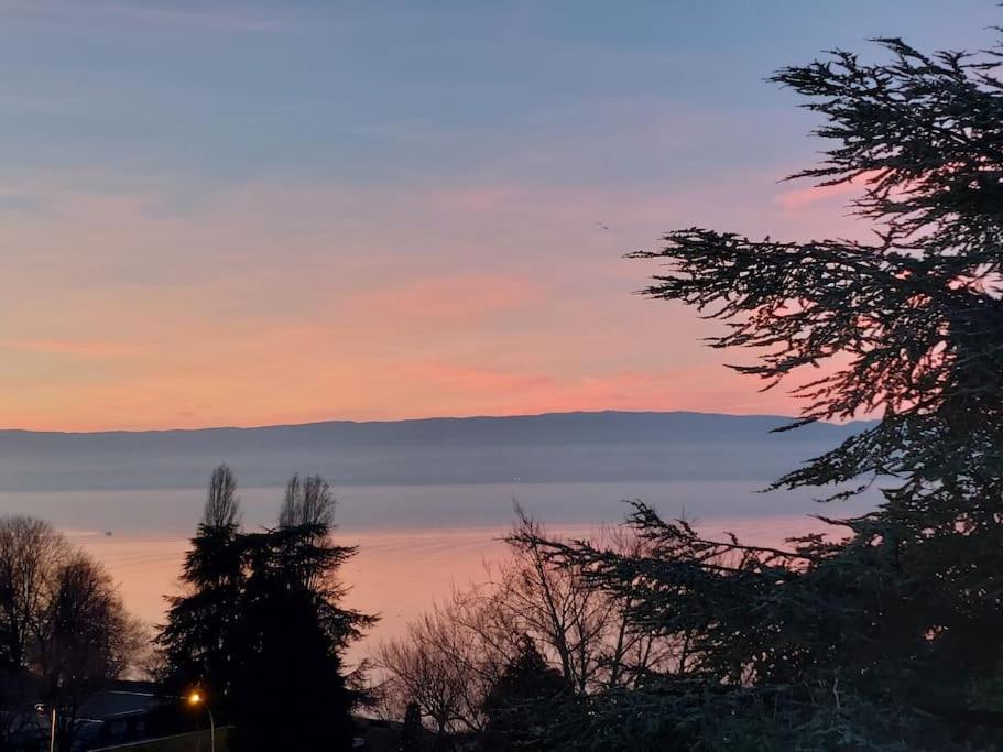 Le Mirabeau Vue Lac エヴィアン・レ・バン エクステリア 写真